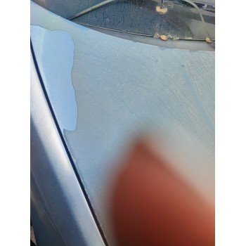 Recambio de capot para bmw 3 (e46) 320 d referencia OEM IAM   