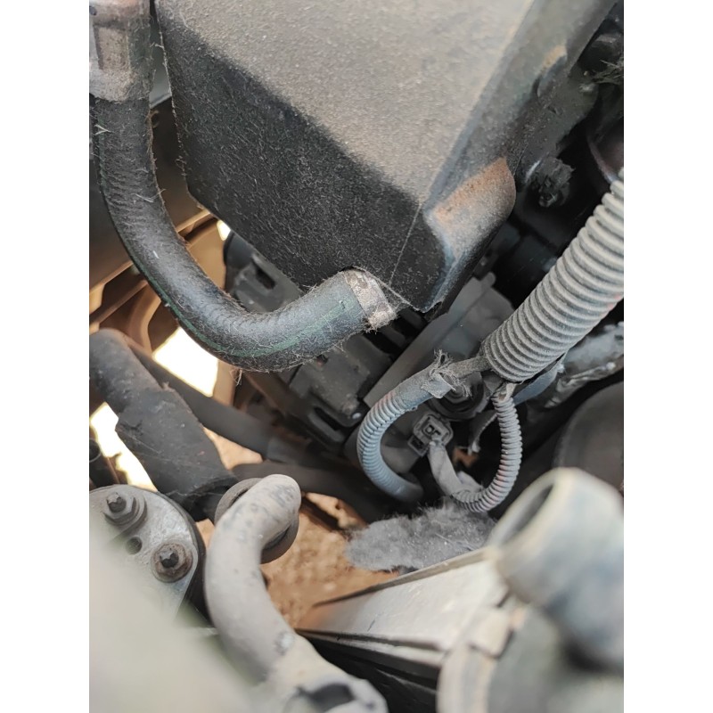 Recambio de alternador para peugeot 206 hatchback (2a/c) 1.4 hdi eco 70 referencia OEM IAM   