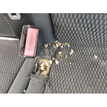 Recambio de asiento delantero derecho para citroën jumpy ii furgoneta 2.0 hdi 120 referencia OEM IAM   