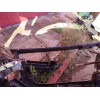 Recambio de refuerzo paragolpes delantero para peugeot 3008 i monospace (0u_) 1.6 vti referencia OEM IAM   