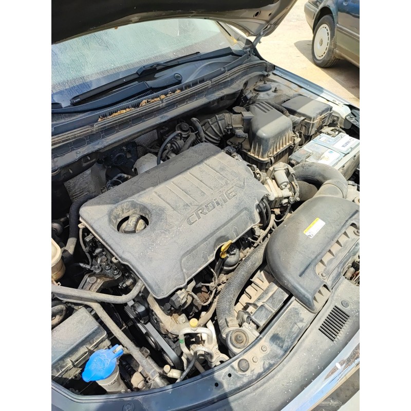 Recambio de calentadores para hyundai i30 station wagon (fd) 1.6 crdi referencia OEM IAM   