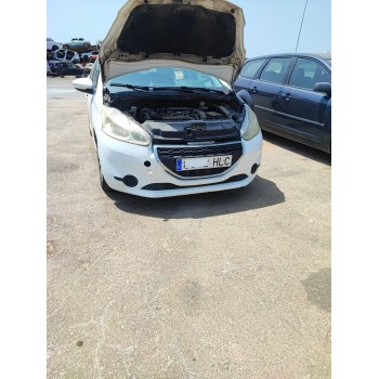 CUNA MOTOR 