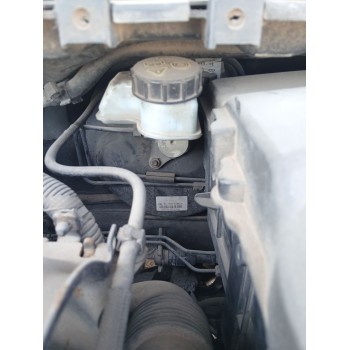 SERVOFRENO 03776081034 