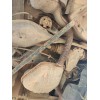 Recambio de tubo escape trasero para mercedes-benz slk (r170) 200 (170.435) referencia OEM IAM 1704910100 1704910000  