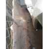 Recambio de aleta delantera derecha para jeep cherokee (kk) 2.8 crd 4x4 referencia OEM IAM   