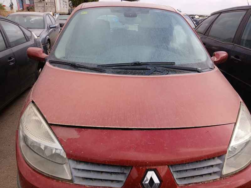 Recambio de capot para renault scénic ii (jm0/1_) 1.5 dci (jm02, jm13) referencia OEM IAM   