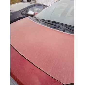 Recambio de capot para renault scénic ii (jm0/1_) 1.5 dci (jm02, jm13) referencia OEM IAM   