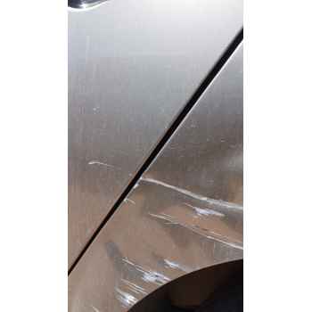 Recambio de puerta trasera izquierda para renault scénic ii (jm0/1_) 1.5 dci (jm1e, jm16) referencia OEM IAM   