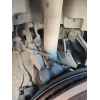Recambio de amortiguador trasero izquierdo para bmw 5 (e39) 530 d referencia OEM IAM   