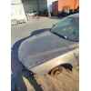 Recambio de capot para bmw 5 (e39) 530 d referencia OEM IAM   