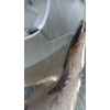 Recambio de paragolpes trasero para bmw x5 (e70) xdrive 30 d referencia OEM IAM   