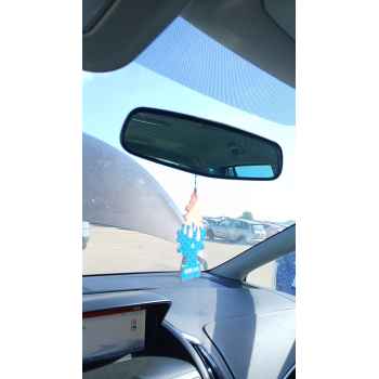 RETROVISOR INTERIOR 