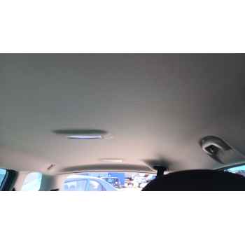 Recambio de techo interior para opel zafira tourer c (p12) 2.0 cdti (75) referencia OEM IAM   