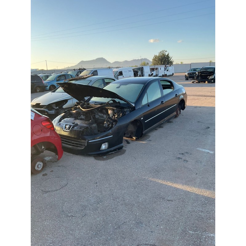 peugeot 407 (6d_) del año 2007