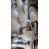 Recambio de amortiguador delantero izquierdo para seat ibiza iii (6l1) 1.9 sdi referencia OEM IAM   