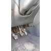 Recambio de columna direccion para seat ibiza iii (6l1) 1.9 sdi referencia OEM IAM   