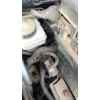 Recambio de abs para opel corsa d (s07) 1.3 cdti (l08, l68) referencia OEM IAM   