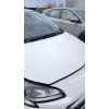 Recambio de capot para opel corsa e (x15) 1.4 (08, 68) referencia OEM IAM   