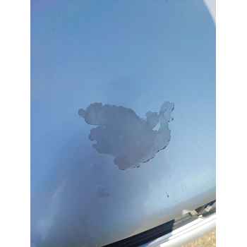 Recambio de capot para opel astra g hatchback (t98) 2.0 dti 16v (f08, f48) referencia OEM IAM   
