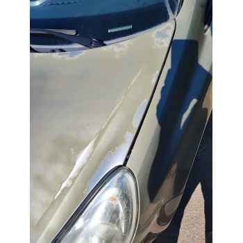 Recambio de capot para opel corsa d (s07) 1.3 cdti (l08, l68) referencia OEM IAM   