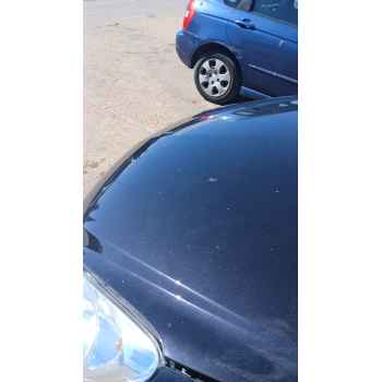 Recambio de capot para opel corsa d (s07) 1.3 cdti (l08, l68) referencia OEM IAM   