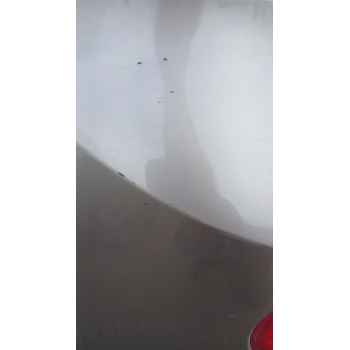 Recambio de paragolpes trasero para renault clio iii grandtour (kr0/1_) 1.5 dci referencia OEM IAM   