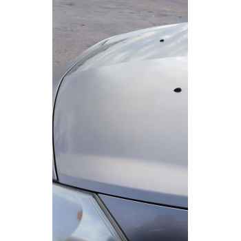 Recambio de capot para renault clio iii grandtour (kr0/1_) 1.5 dci referencia OEM IAM   