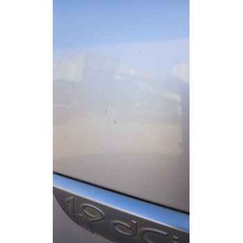Recambio de puerta delantera izquierda para renault megane ii (bm0/1_, cm0/1_) 1.9 dci referencia OEM IAM   