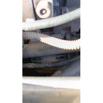 Recambio de alternador para renault megane ii (bm0/1_, cm0/1_) 1.9 dci referencia OEM IAM   