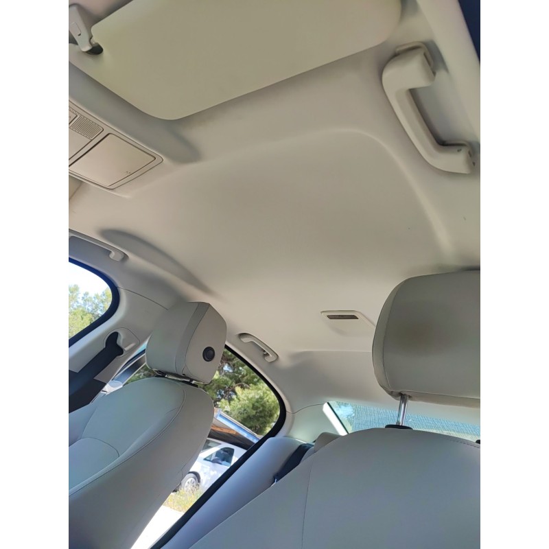 Recambio de techo interior para jaguar xe (x760) 2.0 d referencia OEM IAM   