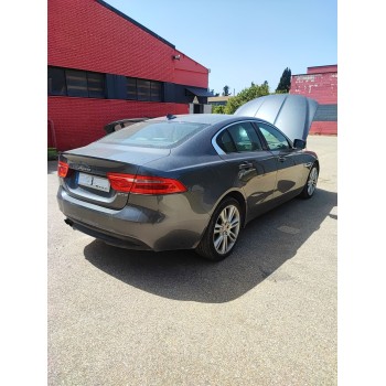 Recambio de amortiguador trasero derecho para jaguar xe (x760) 2.0 d referencia OEM IAM   