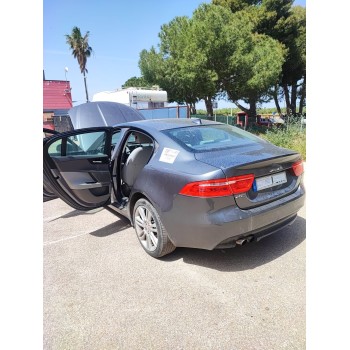 Recambio de amortiguador trasero izquierdo para jaguar xe (x760) 2.0 d referencia OEM IAM   