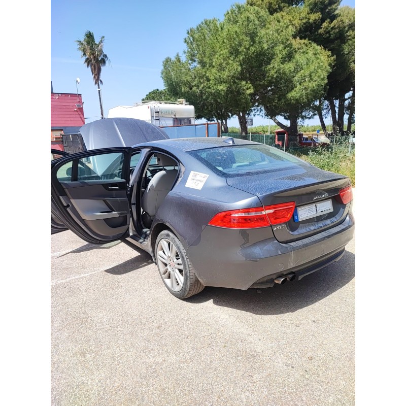 Recambio de amortiguador trasero izquierdo para jaguar xe (x760) 2.0 d referencia OEM IAM   