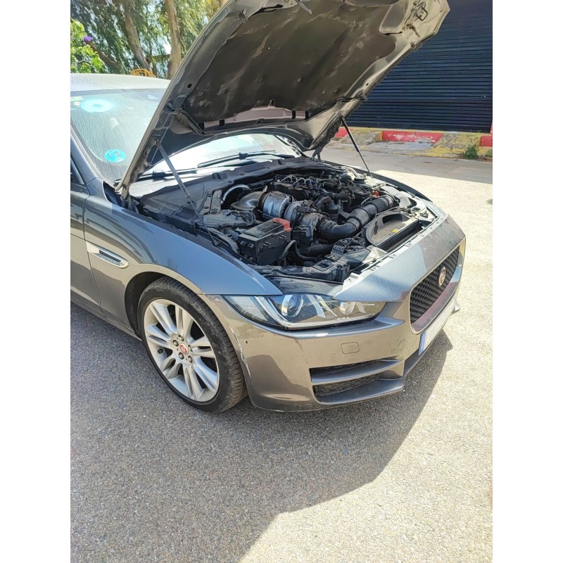 Recambio de mangueta delantera derecha para jaguar xe (x760) 2.0 d referencia OEM IAM   