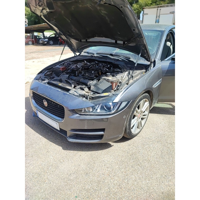 Recambio de mangueta delantera izquierda para jaguar xe (x760) 2.0 d referencia OEM IAM   