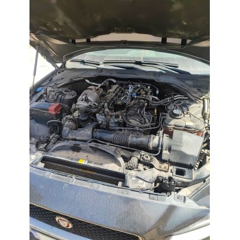 Recambio de sonda lambda para jaguar xe (x760) 2.0 d referencia OEM IAM   