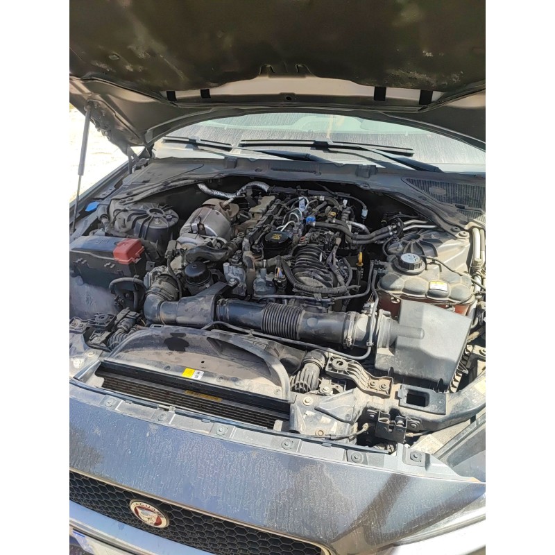 Recambio de sonda lambda para jaguar xe (x760) 2.0 d referencia OEM IAM   