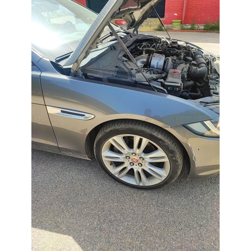 Recambio de aleta delantera derecha para jaguar xe (x760) 2.0 d referencia OEM IAM   