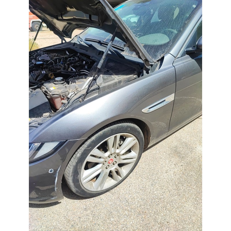 Recambio de aleta delantera izquierda para jaguar xe (x760) 2.0 d referencia OEM IAM   