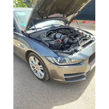 Recambio de amortiguador delantero derecho para jaguar xe (x760) 2.0 d referencia OEM IAM   