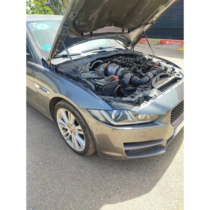 Recambio de amortiguador delantero derecho para jaguar xe (x760) 2.0 d referencia OEM IAM   