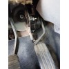 Recambio de pedal acelerador para renault scénic ii (jm0/1_) 1.5 dci (jm1e, jm16) referencia OEM IAM   