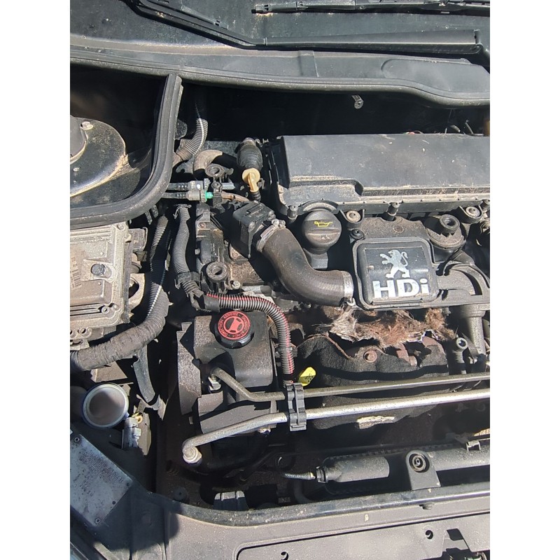 Recambio de bsm para peugeot 206 hatchback (2a/c) 1.4 hdi eco 70 referencia OEM IAM 9657608780  