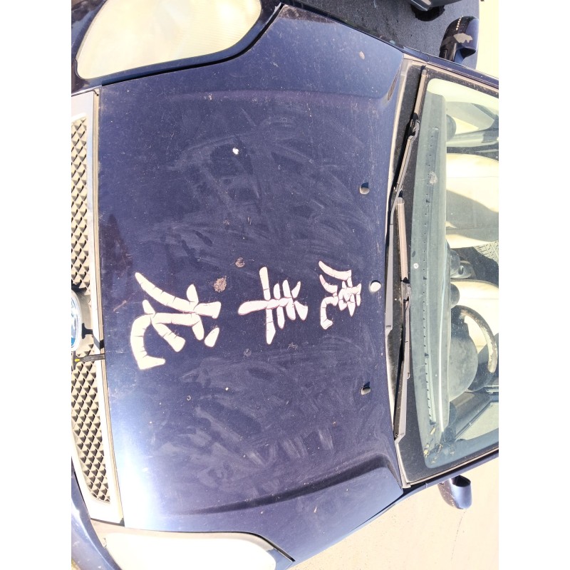 Recambio de capot para ford fiesta v (jh_, jd_) 1.4 16v referencia OEM IAM   