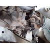 Recambio de caja cambios para seat ibiza ii (6k1) 1.4 i 16v referencia OEM IAM   