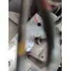 Recambio de abs para toyota corolla verso (zer_, zze12_, r1_) 2.2 d-4d (aur10_) referencia OEM IAM 445400F020 0265234222 