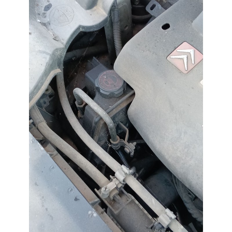 Recambio de alternador para citroën xsara (n1) 2.0 hdi 90 referencia OEM IAM   